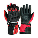 Motorbike Gloves